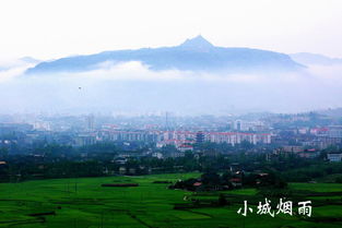 杨再思的赤水峒主