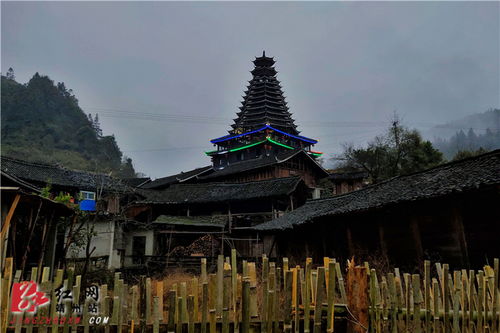 靖州 地笋苗寨欢喜过 苗年