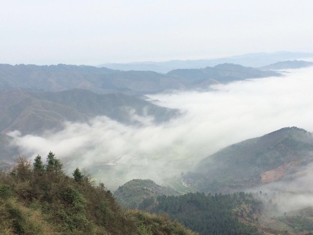 靖州飞山