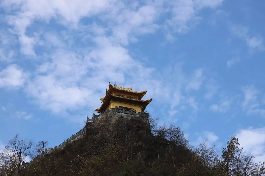 靖州飞山、正清飞歌,正清集团举办盛大的共生活动庆祝成立26周年