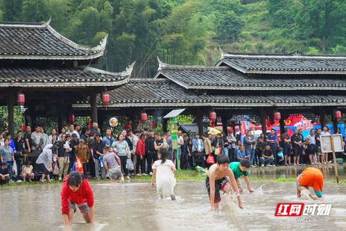 怀化夏季 村晚 在靖州岩脚侗寨举行 点燃乡村文旅热潮