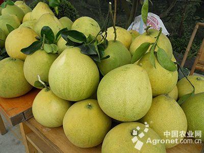 怀化靖州农业局帮扶贫困户