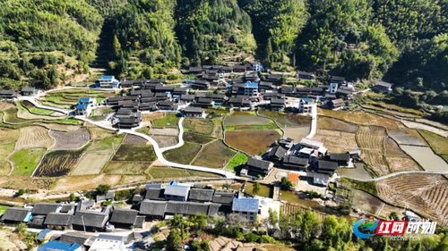 产业旺 乡村兴 靖州党建引领村级集体经济 破茧成蝶