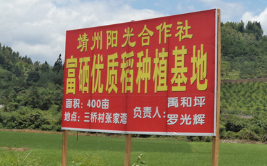 【出售优质硒米】批发,供应,价格,厂家,靖州苗族侗族自治县阳光农副产品专业合作社-中国惠农网