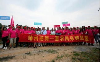 惠农网申斌 农业电商发展需要打好 组合拳