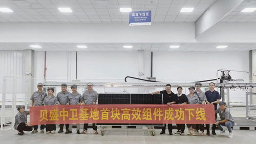 贝盛中卫基地3gw 一期 智能制造工厂n power pro组件首片成功下线