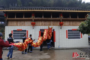 靖州三江溪 五龙 腾飞 闹新春