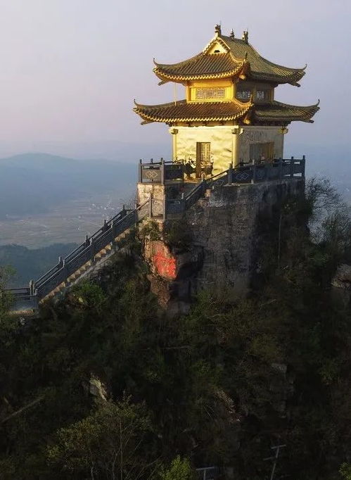 中国人吃杨梅地图