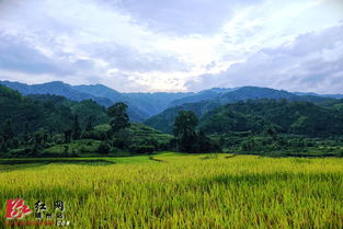 靖州 苗寨傍晚美如画