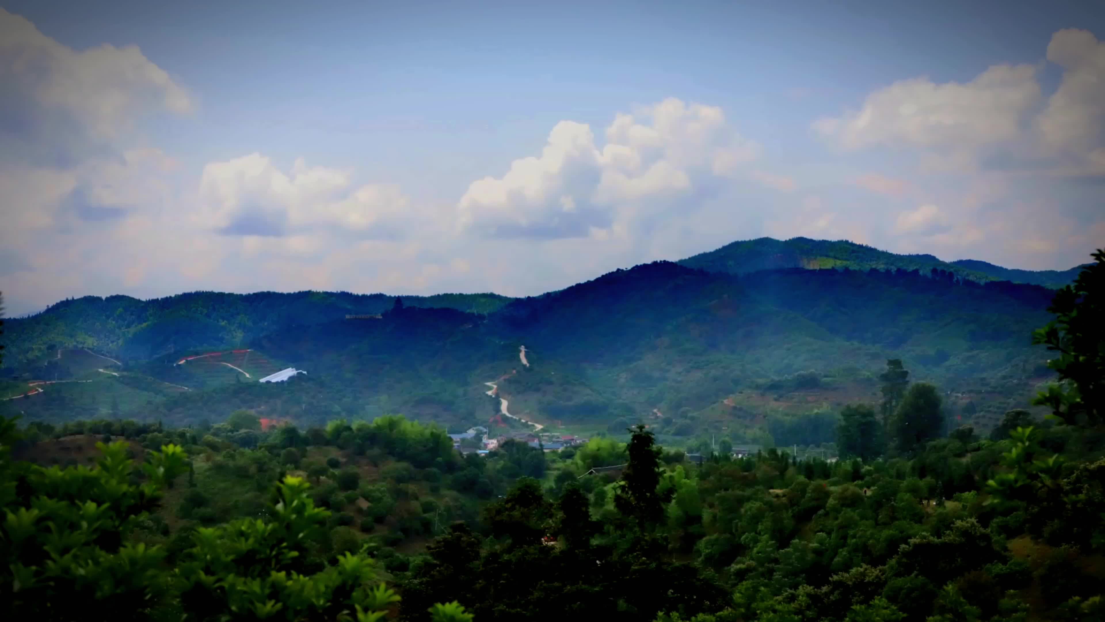 2023杨梅季——靖州生活圈