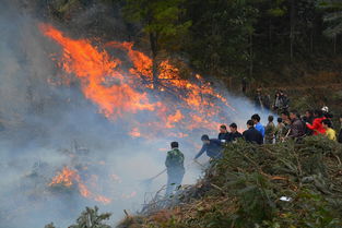靖州山林大火历经26小时终被控制